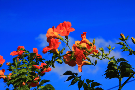 649300 (a): :1920x1280